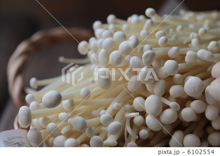 新鮮きのこ　えのき茸 6102554