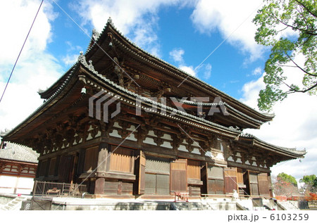 東寺(金堂) 東寺(金堂) 6103259