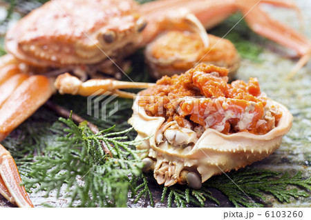 セコガニ 6103260