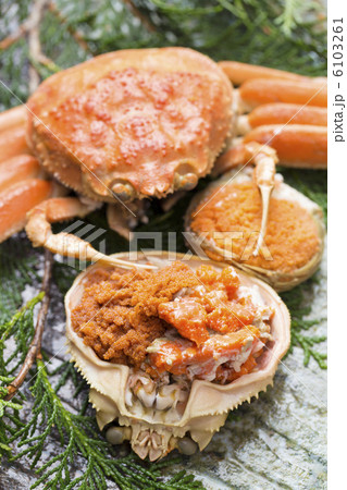 セコガニ 6103261