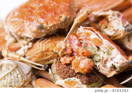 セコガニ 6103262