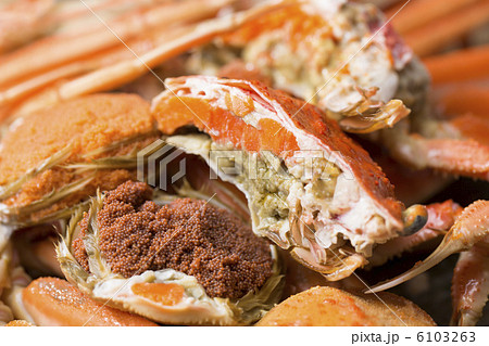 セコガニ 6103263