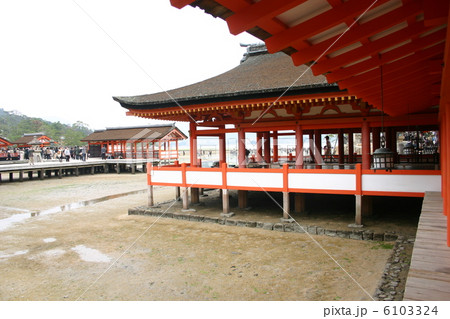 厳島神社 6103324