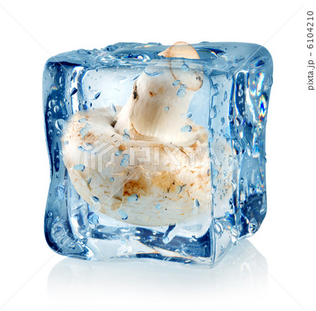 Ice cube and champignon 6104210