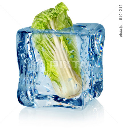 Ice cube and chinese cabbage Ice cube and chinese cabbage 6104212