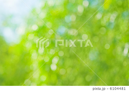 Beautiful natural bokeh 6104481