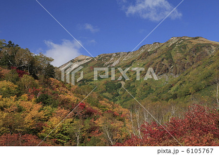 秋の栂池自然園 6105767