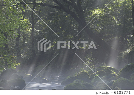 光射す尚仁沢 6105771