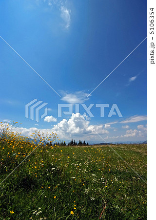 Beautiful landscape 6106354
