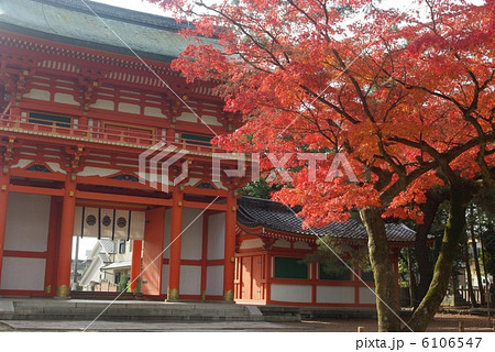 今宮神社の紅葉 6106547