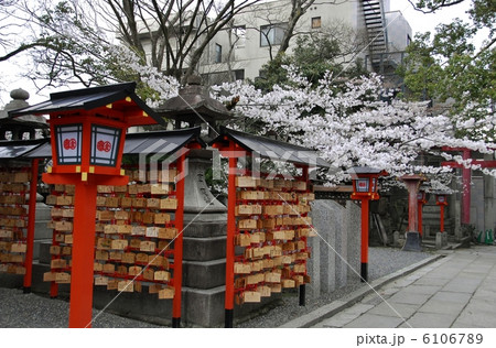京都東山 安井金毘羅宮 京都東山 安井金毘羅宮 6106789