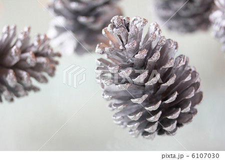 松ぼっくり 6107030