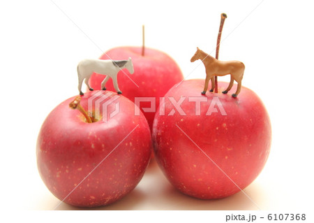 馬とリンゴ 馬とリンゴ 6107368