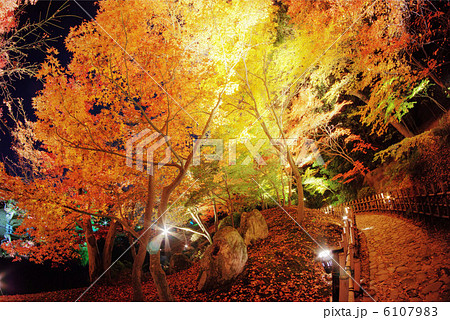 栗林公園の紅葉散策路 6107983