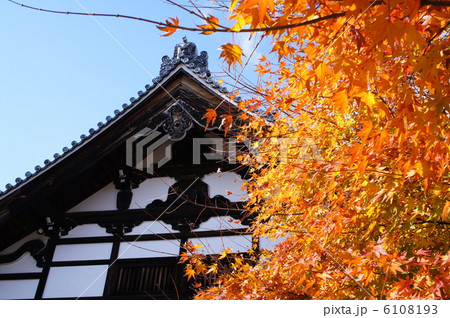 天龍寺 6108193