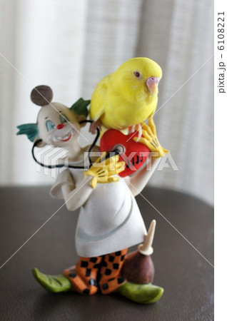 黄色いインコとピエロ 黄色いインコとピエロ 6108221