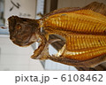 干物 6108462