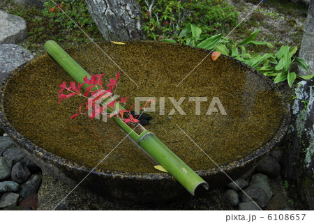 京都圓光寺の蹲 京都圓光寺の蹲 6108657