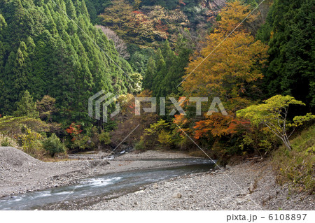 湯川渓谷の紅葉 湯川渓谷の紅葉 6108897
