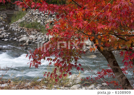湯川渓谷の紅葉 6108909