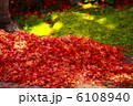 落葉 6108940