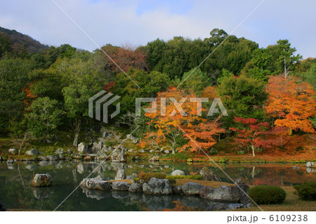 京都　天龍寺　曹源池庭園 6109238