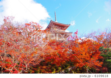 清水寺　三重塔 6109618