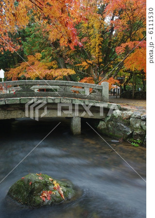 紅葉の上賀茂神社 6111530