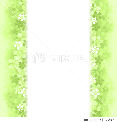 さくら さくら 6112097