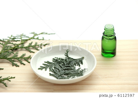 ヒノキのエッセンシャルオイル ヒノキのエッセンシャルオイル 6112597