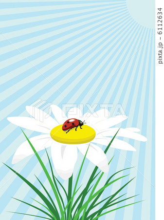 Ladybug sitting on the chamomile against blue background. Ladybug sitting on the chamomile against blue background. 6112634