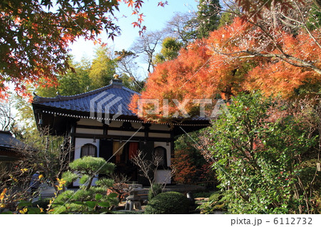 長谷寺の経蔵と紅葉 6112732