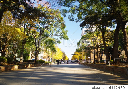 横浜公園 横浜公園 6112970