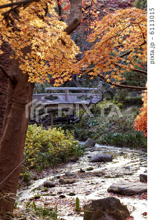黄葉と川 6113015