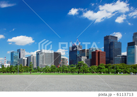 皇居外苑の松林と丸の内高層ビル街と青空 6113713