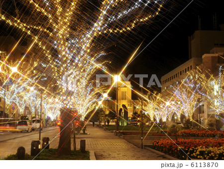 みなと大通り公園のイルミネーションの写真素材