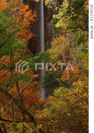 権現滝 権現滝 6114019