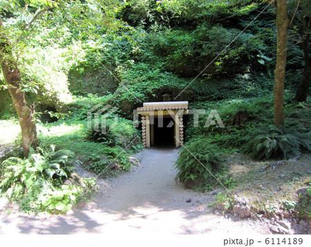 世界遺産　石見銀山　龍源寺間歩 6114189