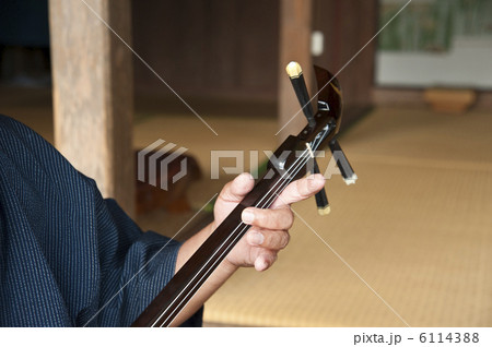 琉球三線を弾く 6114388