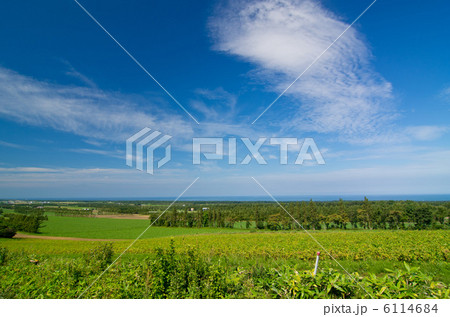 北海道　斜里　自然 6114684