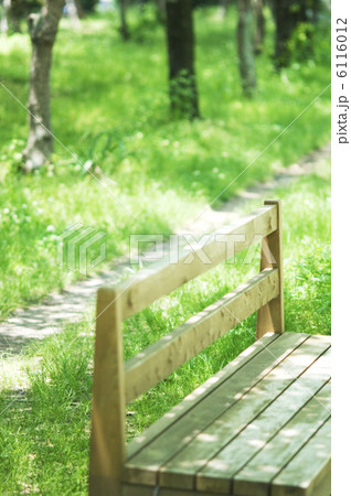 ベンチと小道 6116012