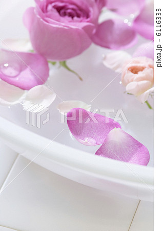 洗面器に浮かべられた薔薇 洗面器に浮かべられた薔薇 6116333