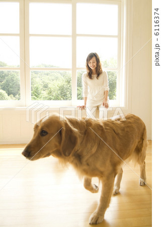 歩く犬と窓辺に座る女性 6116374