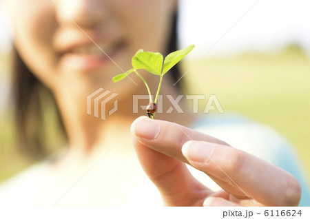 葉に乗ったてんとう虫を持つ手 6116624