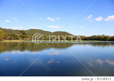 大沢池 6118913