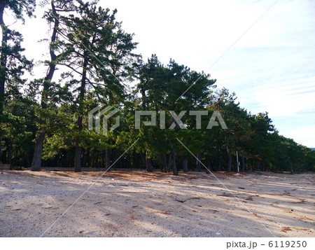 気比の松原　福井 6119250