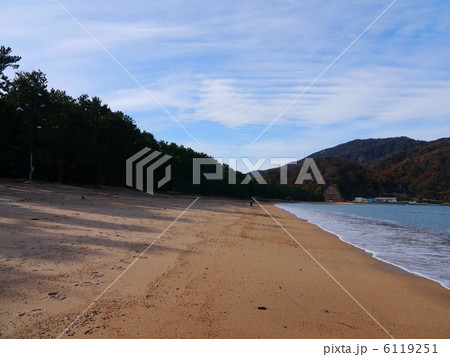 気比の松原 福井 気比の松原 福井 6119251