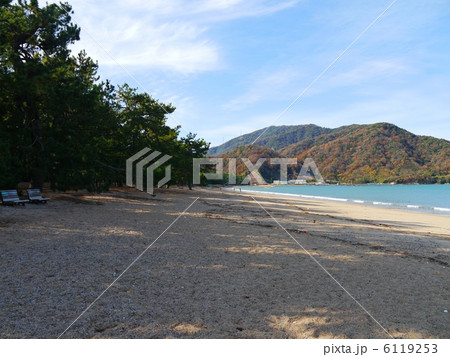 気比の松原 福井 気比の松原 福井 6119253