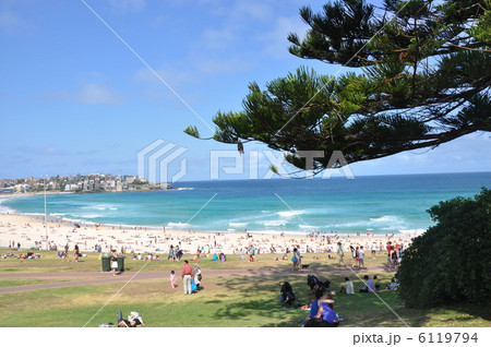 ボンダイビーチ 6119794