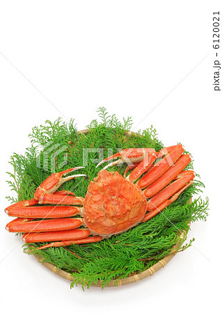 笊に盛った松葉蟹 6120021